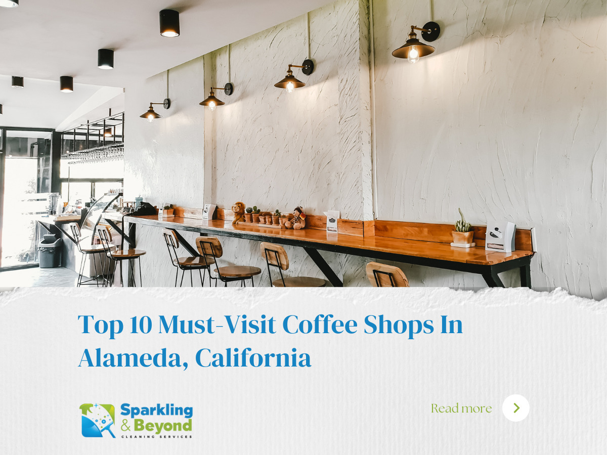 Discover Alameda's Finest: Top 10 Best Coffee Shops to Visit
